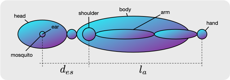 Body diagram