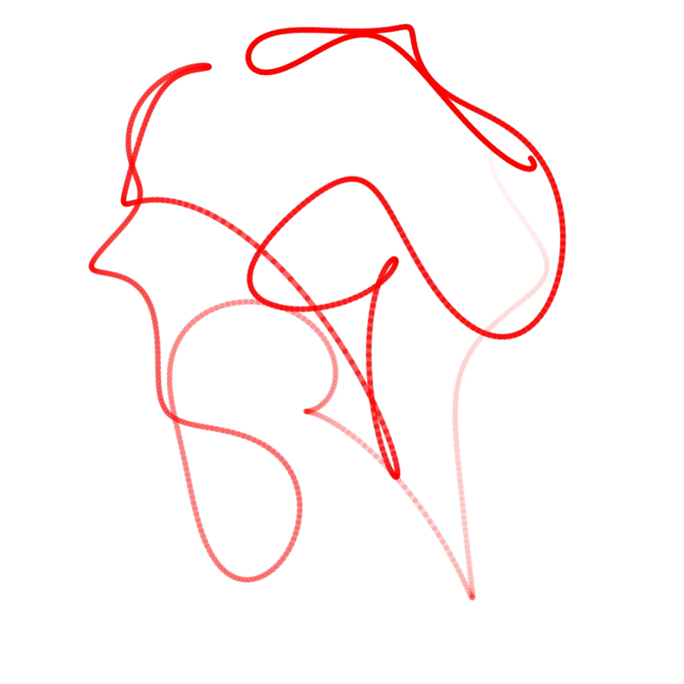 N=20